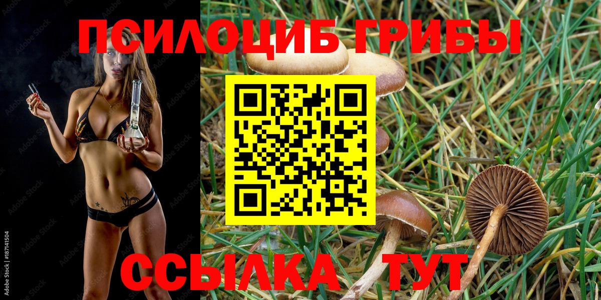 Псилоцибиновые грибы мицелий  магазин    Галлюциногенные грибы Magic Shrooms  Холмск  Вход с VPN 