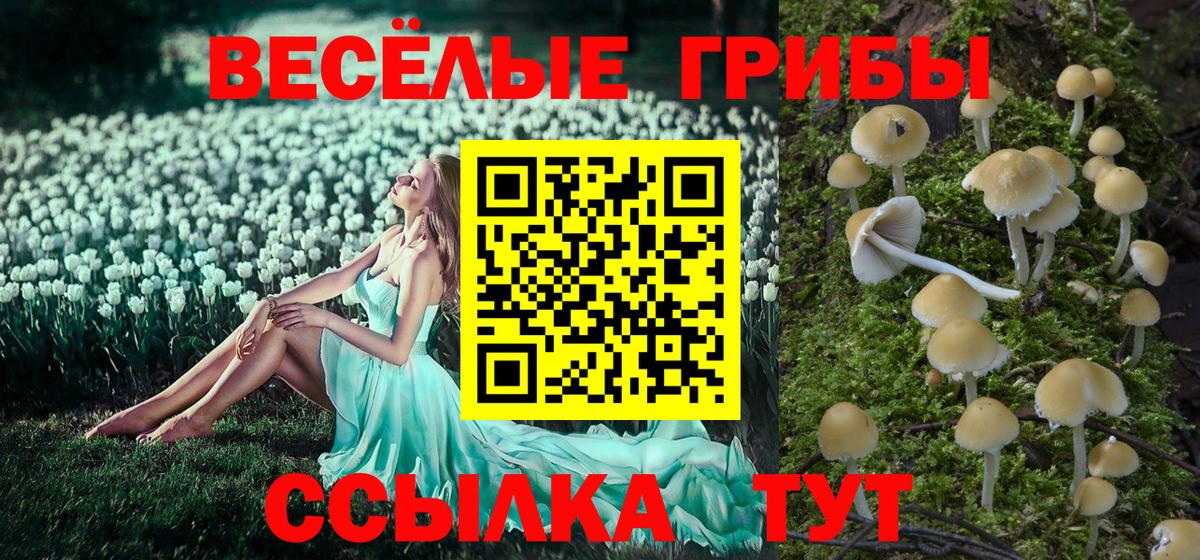 Галлюциногенные грибы MAGIC MUSHROOMS Холмск